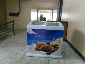 256l Display Freezer/Showcase Freezer.