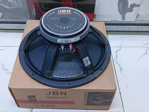 JBN 15inch Midrange Naked Speaker