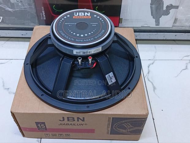 JBN 15inch Midrange Naked Speaker