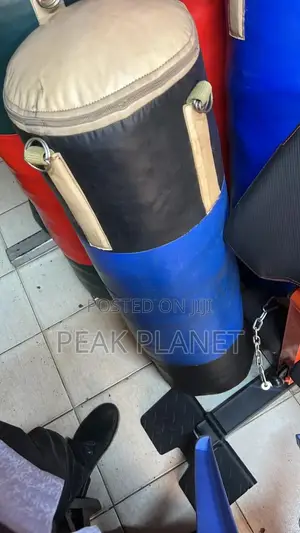 40kg Heavy Duty Punching Bag for Boxing Training
