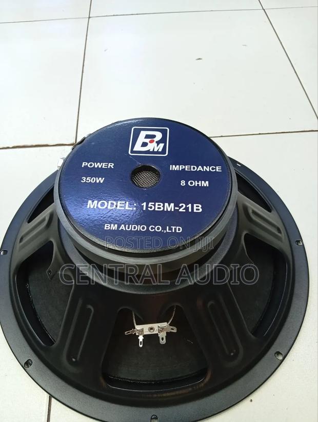 Bm Az 2 15inch Naked Speaker - main view