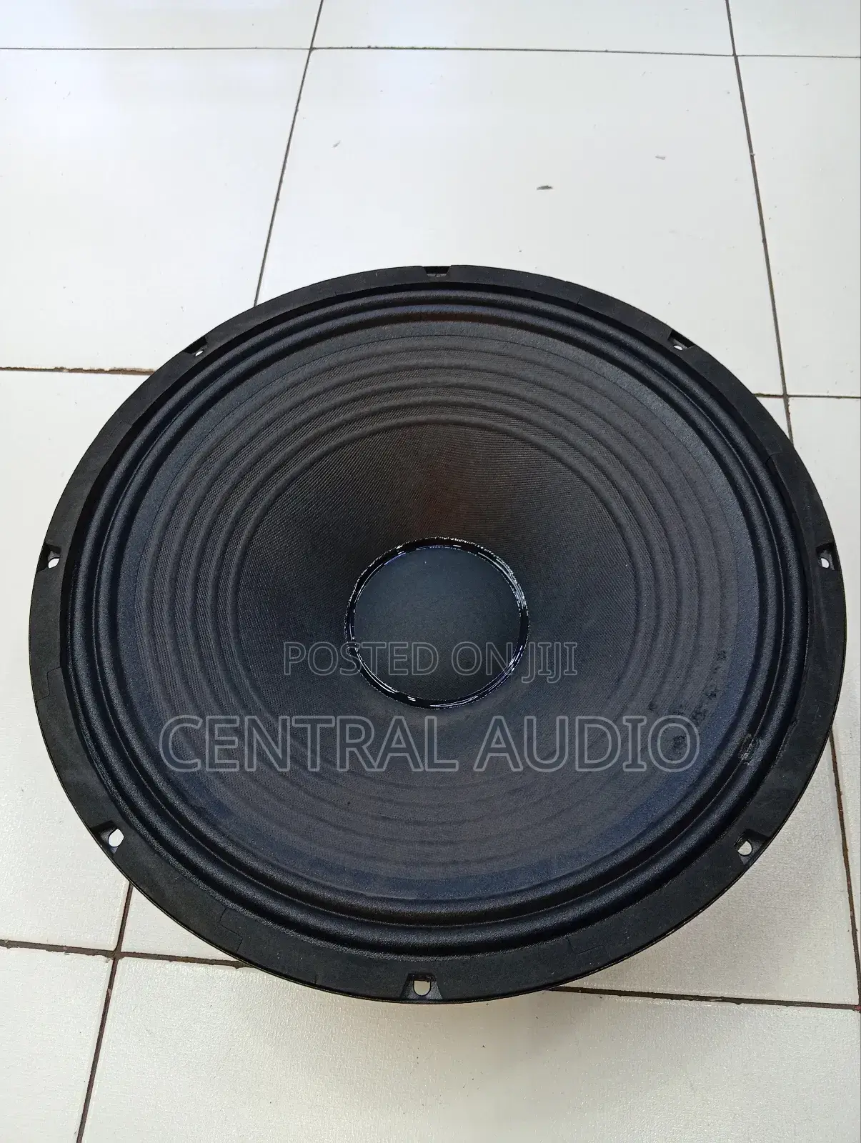 Bm Az 2 15inch Naked Speaker