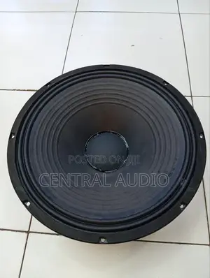 Bm Az 2 15inch Naked Speaker