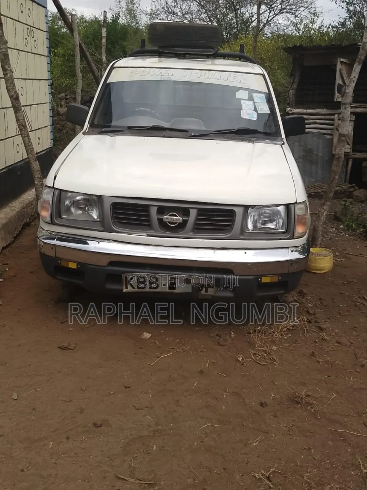 Nissan Hardbody 2001 White