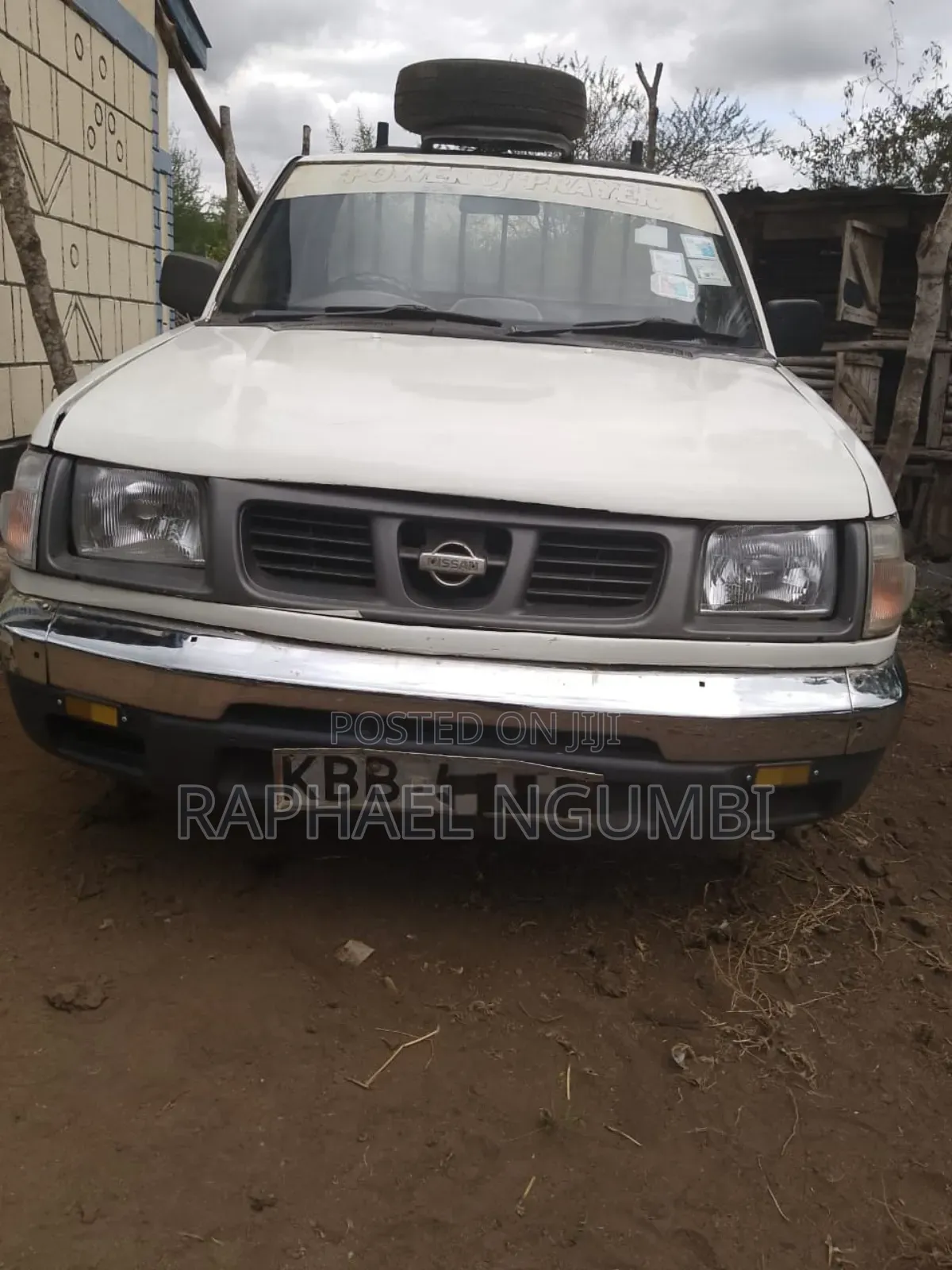Nissan Hardbody 2001 White