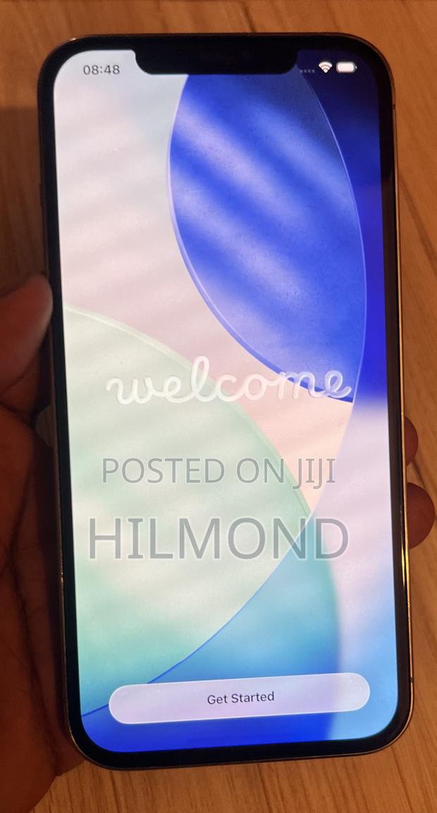 Apple iPhone 12 Pro Max 256 GB Rose Gold - thumbnail 5