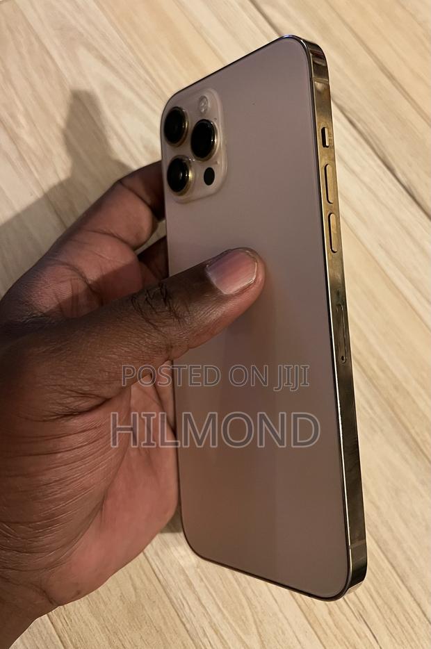 Apple iPhone 12 Pro Max 256 GB Rose Gold - thumbnail 2