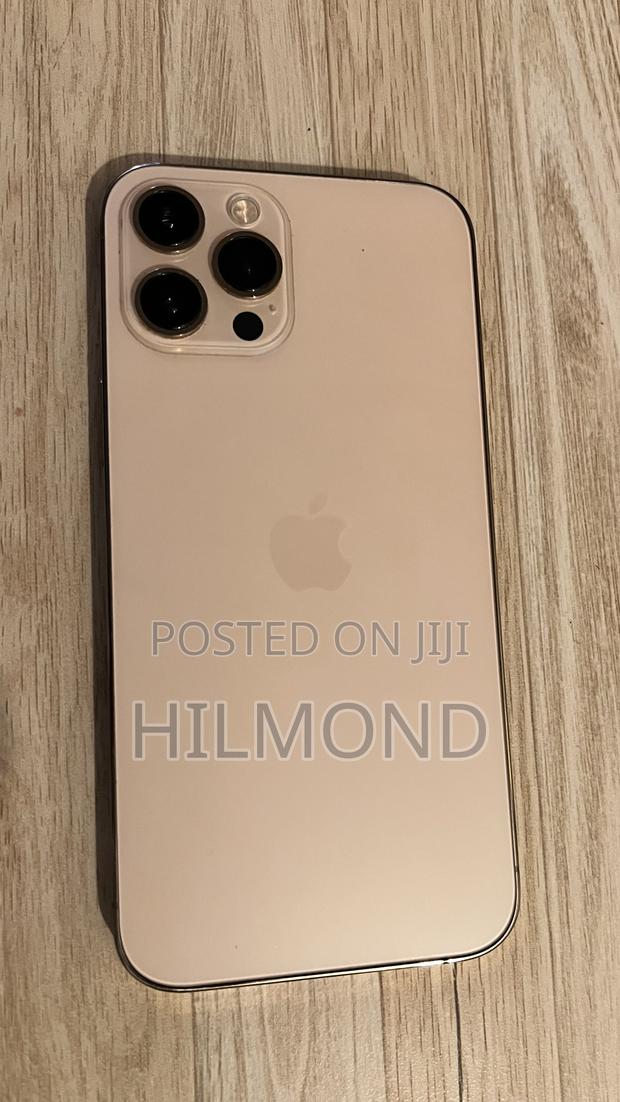 Apple iPhone 12 Pro Max 256 GB Rose Gold - main view