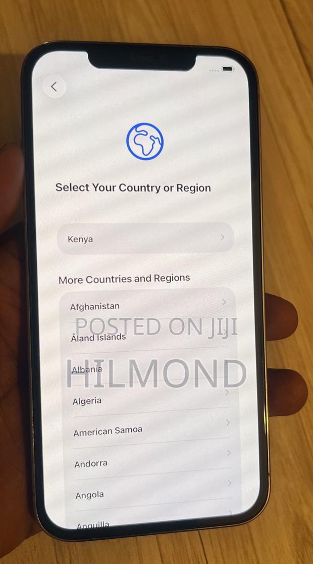 Apple iPhone 12 Pro Max 256 GB Rose Gold - thumbnail 6