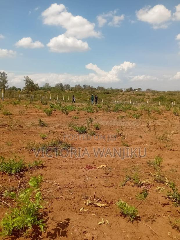 50*100 Plots - main view