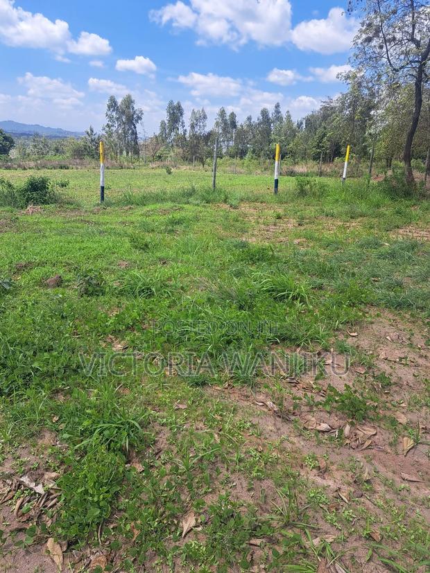 50*100 Plots - thumbnail 2