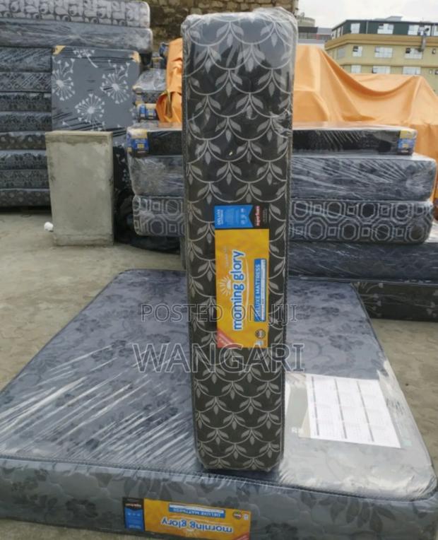 Morning Glory 5*6*8 - main view