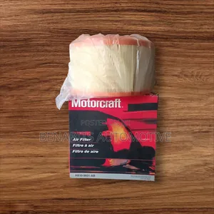 Motorcraft Air Filter.