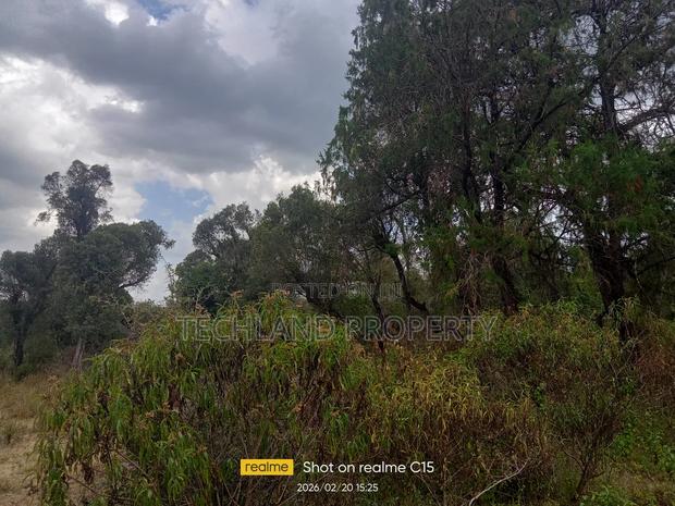 4.5acres Ruirii Kieni Nyeri. - thumbnail 4