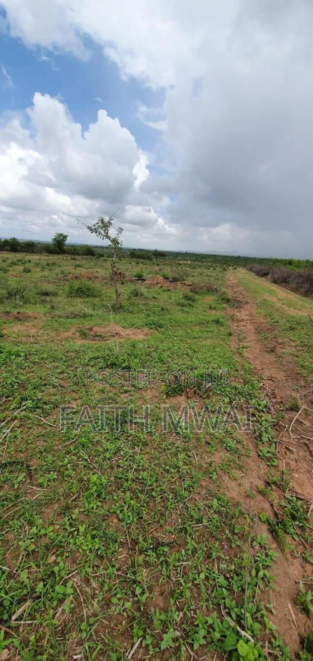 Matuu Plots - thumbnail 2