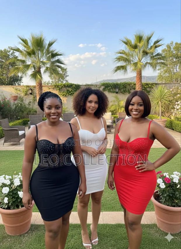 Ladies Midi Pencil Dress