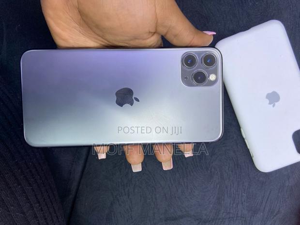 Apple iPhone 11 Pro Max 256 GB Gray