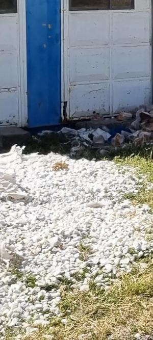 White Decorative Stones in Store for Home Decor - thumbnail 2