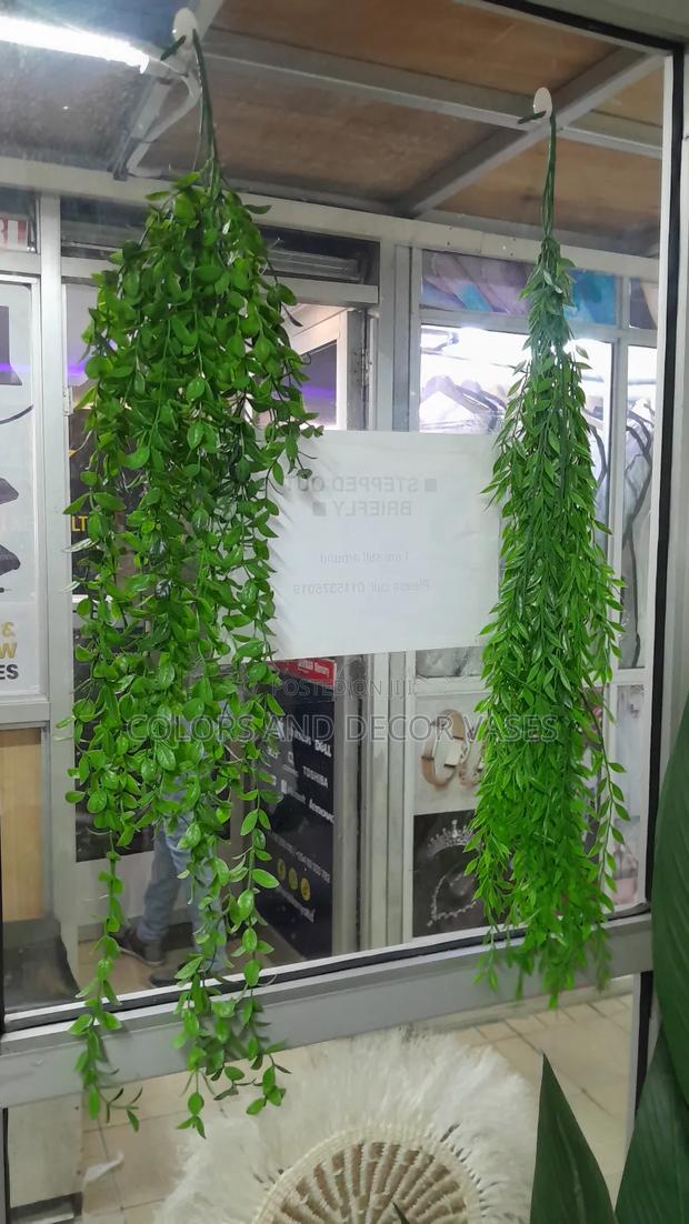 Vines Home Decor Available - main view