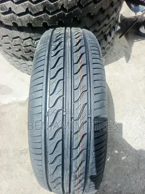Double King Tyres Sizes 195/65r15 Radial Tubeless.