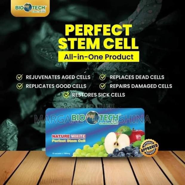Stemcell Cellular - main view