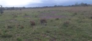 Land for Sale - thumbnail 2