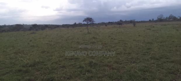 Land for Sale - thumbnail 3