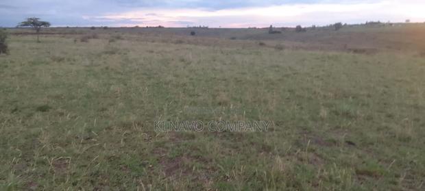 Land for Sale - thumbnail 4