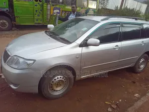 Toyota Corolla Fielder 2006 Silver
