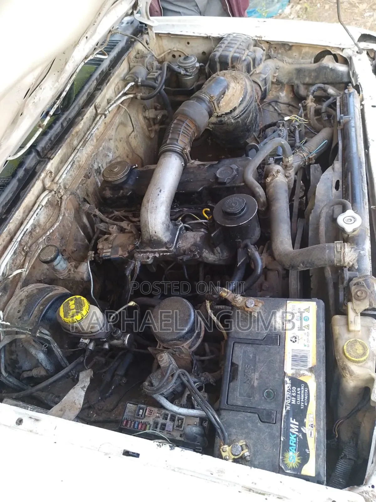 Nissan Hardbody 2001 White
