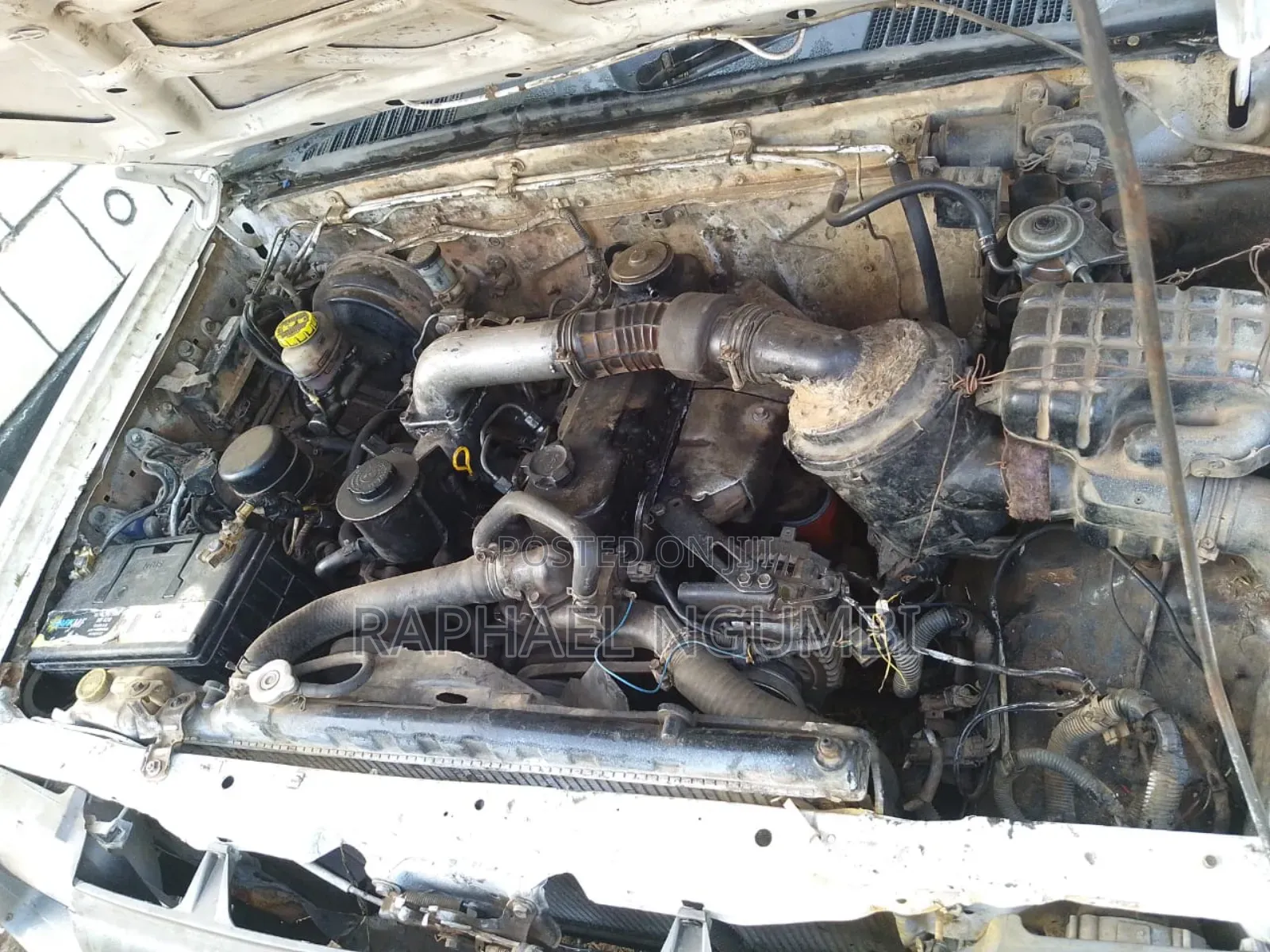 Nissan Hardbody 2001 White