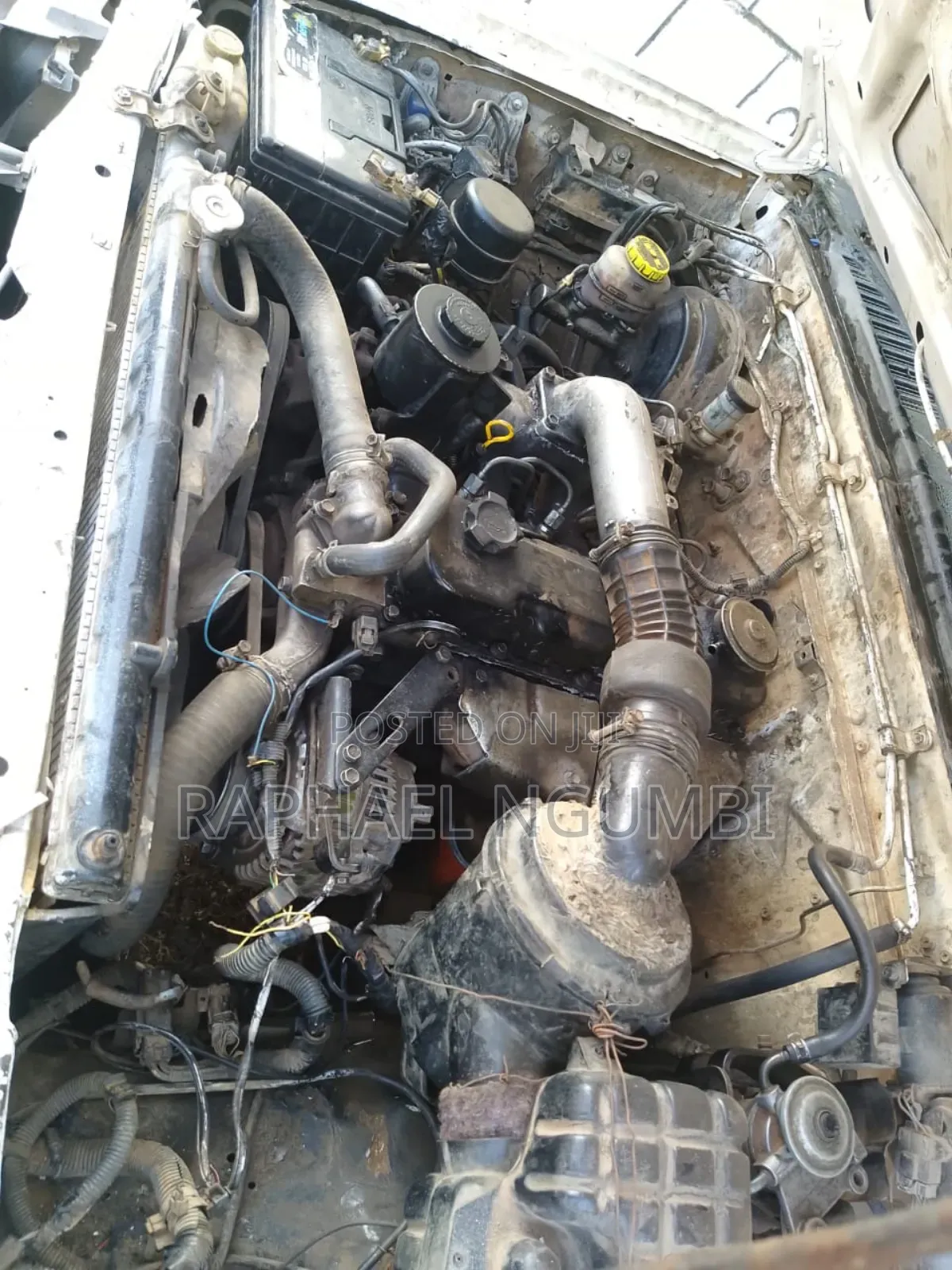 Nissan Hardbody 2001 White