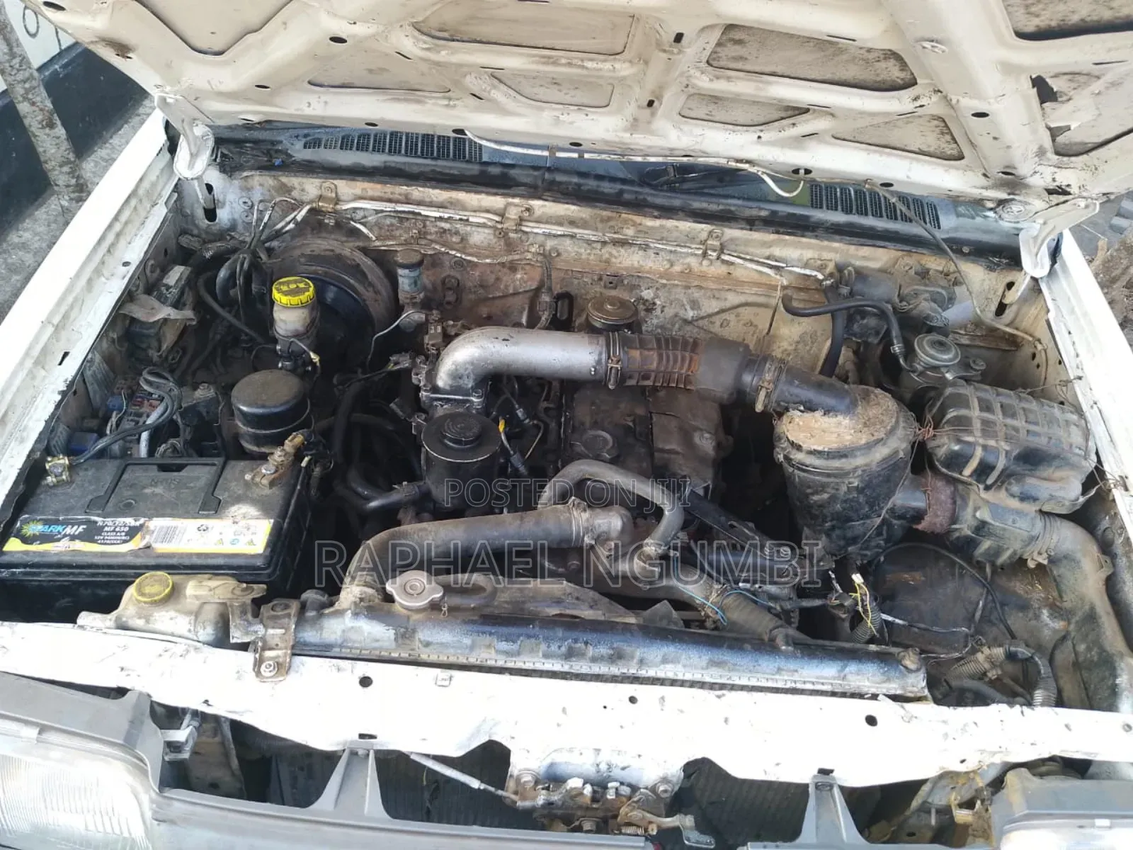 Nissan Hardbody 2001 White
