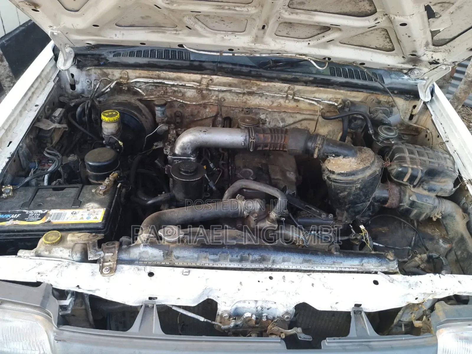 Nissan Hardbody 2001 White