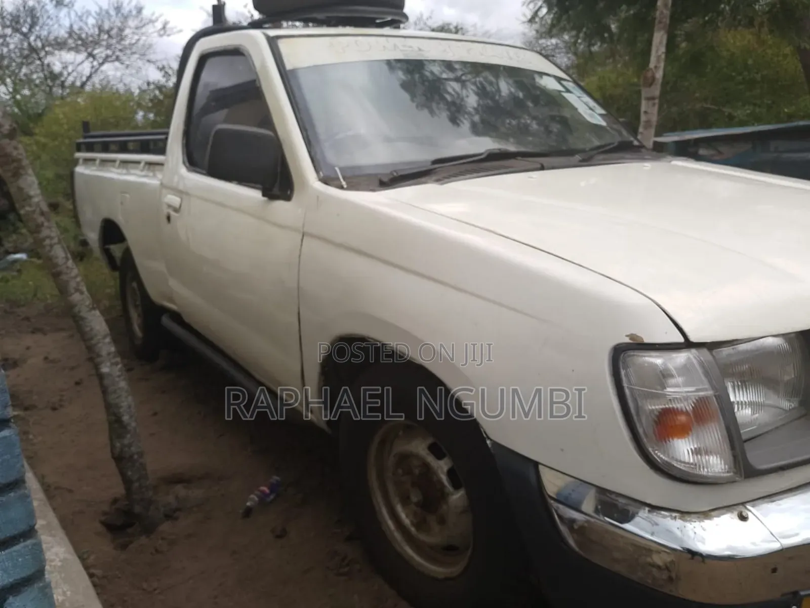 Nissan Hardbody 2001 White