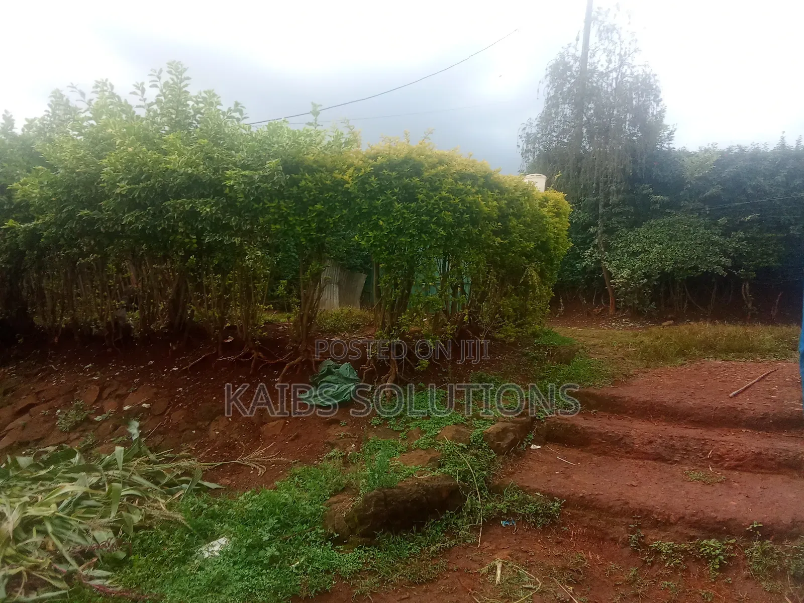3/4 Plot for Sale at Ruaka Town 50m
