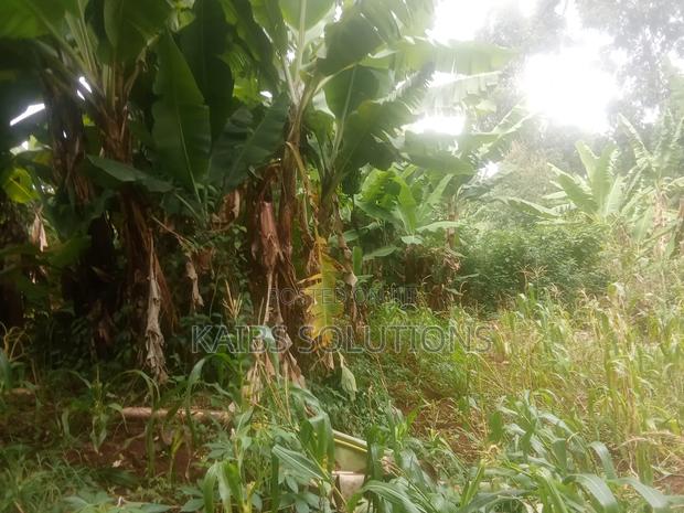 3/4 Plot for Sale at Ruaka Town 50m - thumbnail 8