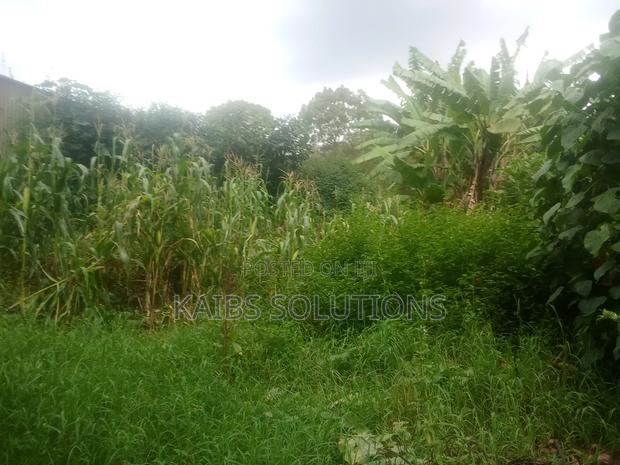 3/4 Plot for Sale at Ruaka Town 50m - thumbnail 9