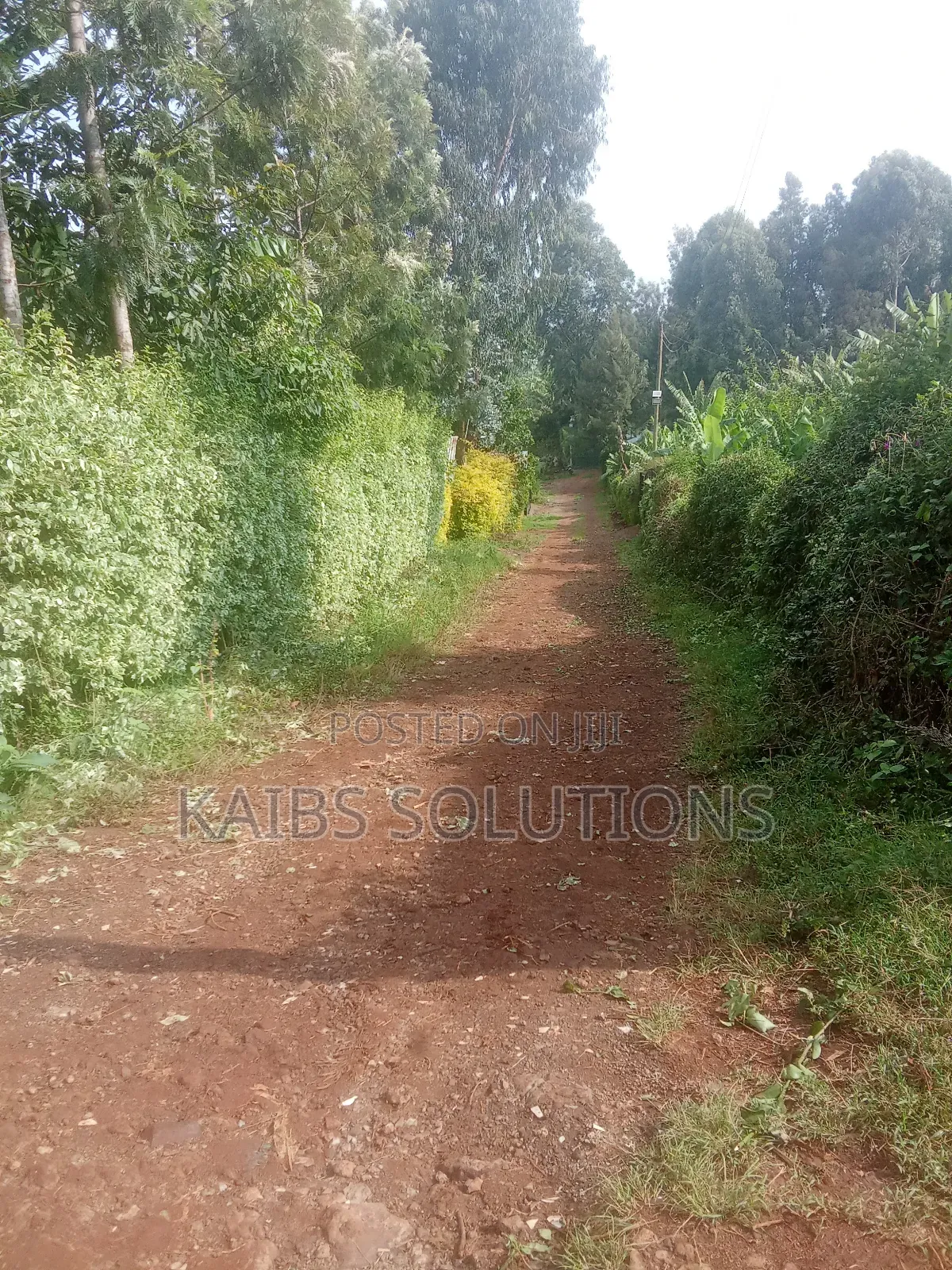 A Very Prime Plot for Sale at Ruaka Ichangamwe 3.8m