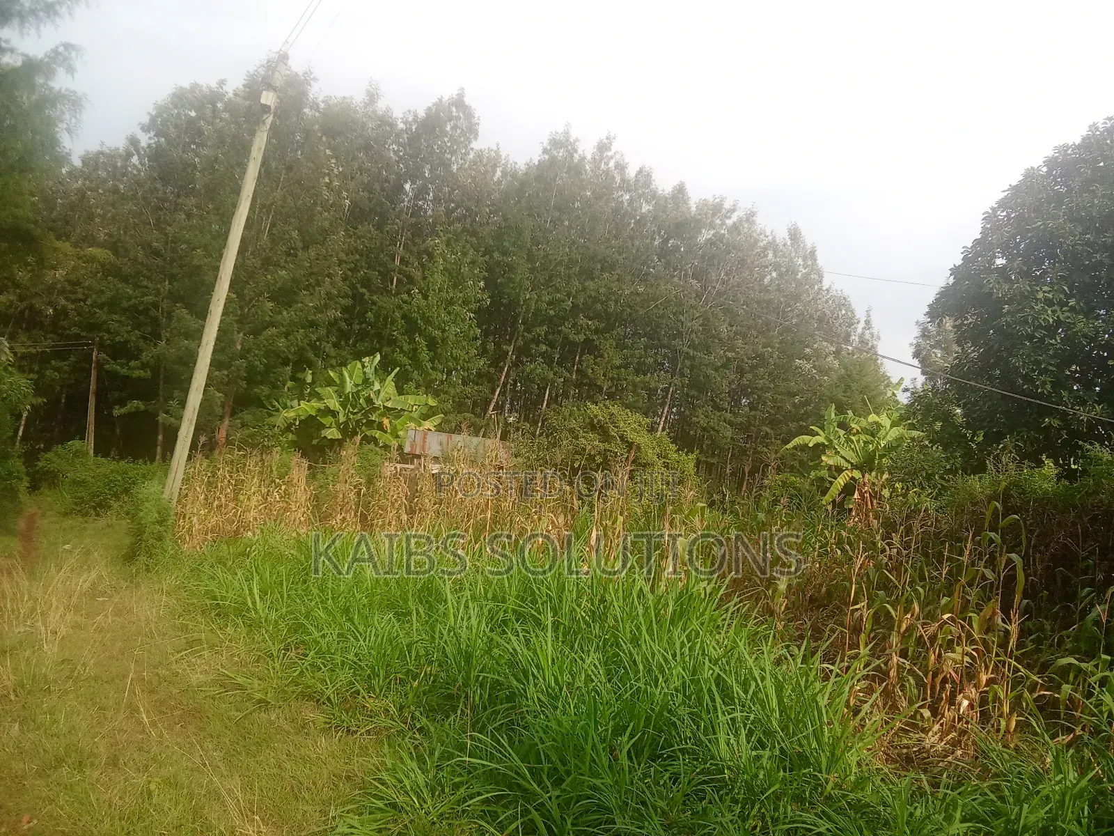 1/2 Acre for Sale at Ruaka