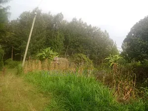 1/2 Acre for Sale at Ruaka
