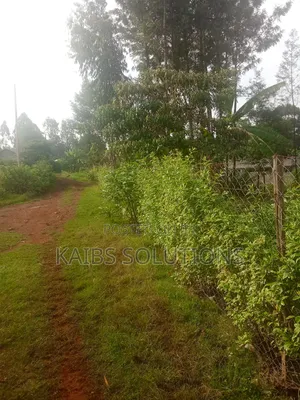 1/2 Acre for Sale at Ruaka