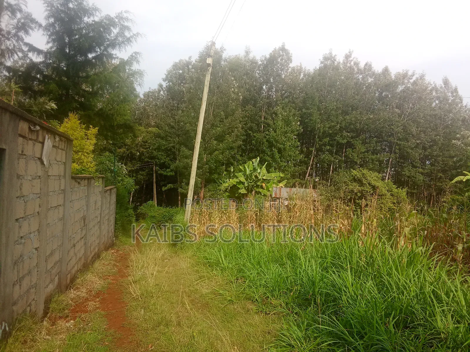 1/2 Acre for Sale at Ruaka