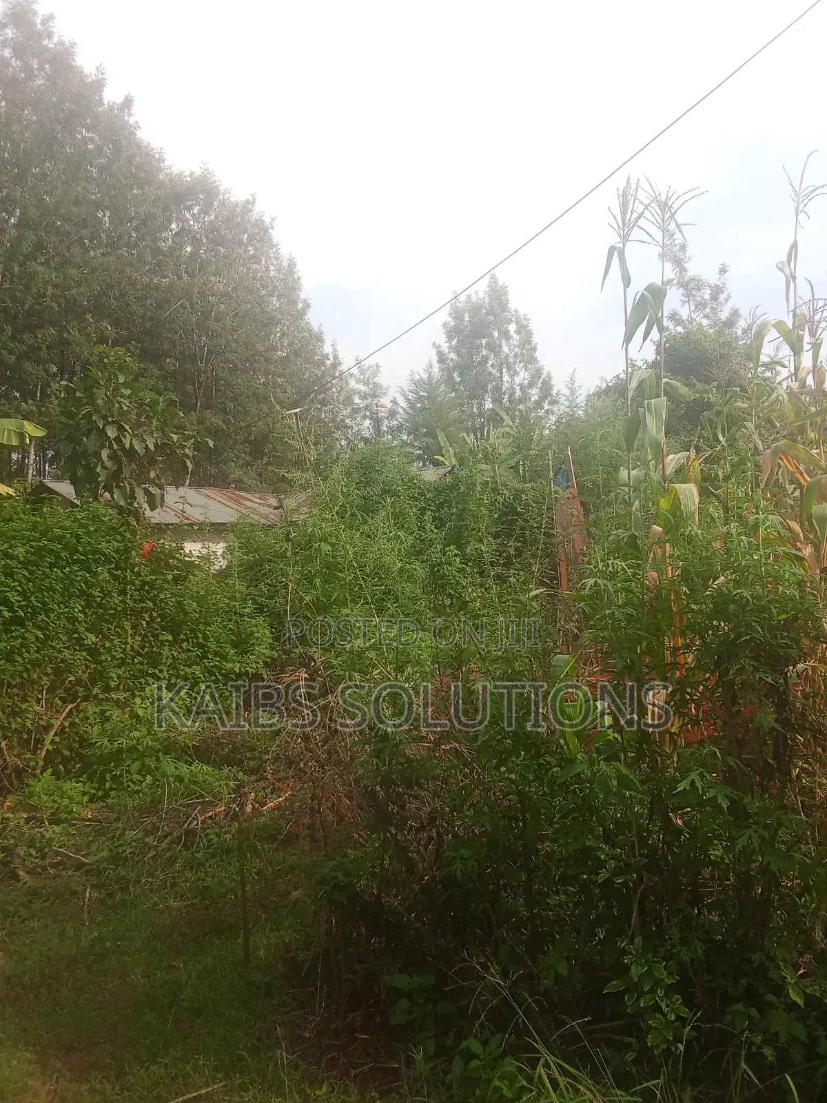1/2 Acre for Sale at Ruaka