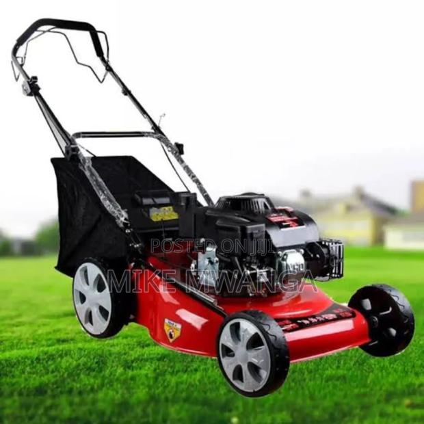 Windsor Gasoline Lawnmower - main view