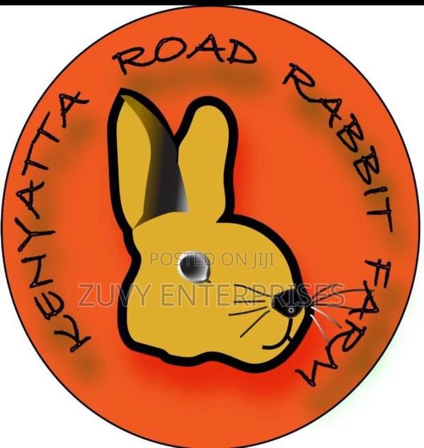 Rabbits for Sale Meat Breeding Etc - main view