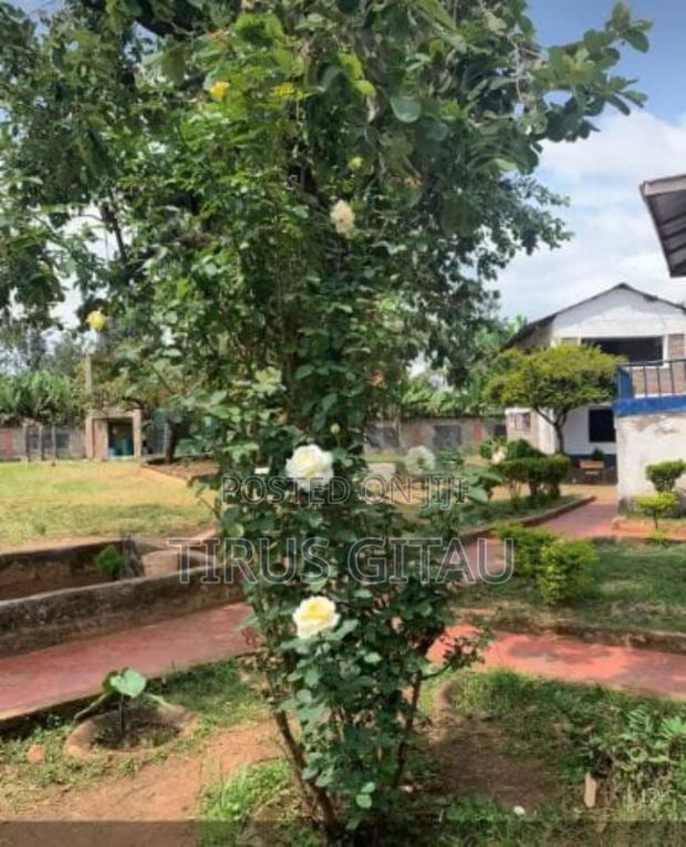 School /Hospital /Rehab for Lease - thumbnail 2