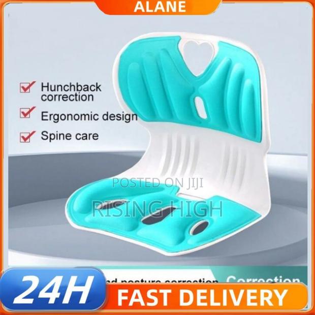 Correct Posture Chairs - main view