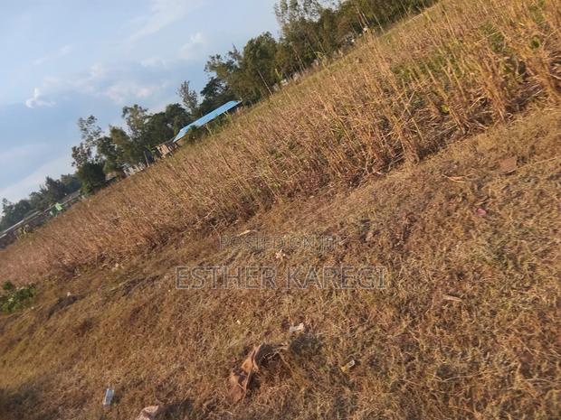 Land for Sale 3⁄4 an Acre - thumbnail 2