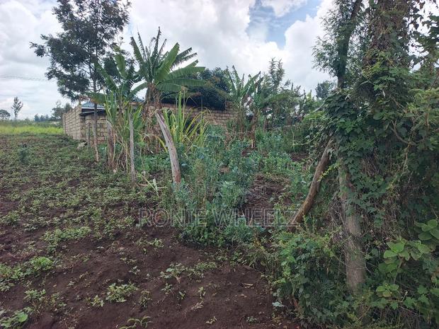 Plot on a Quick Sale - thumbnail 9